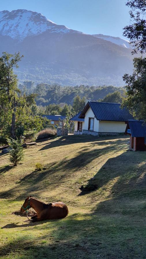 Cabanas & Aparts Lancuyen, Villa De Montana Villa La Angostura Zewnętrze zdjęcie