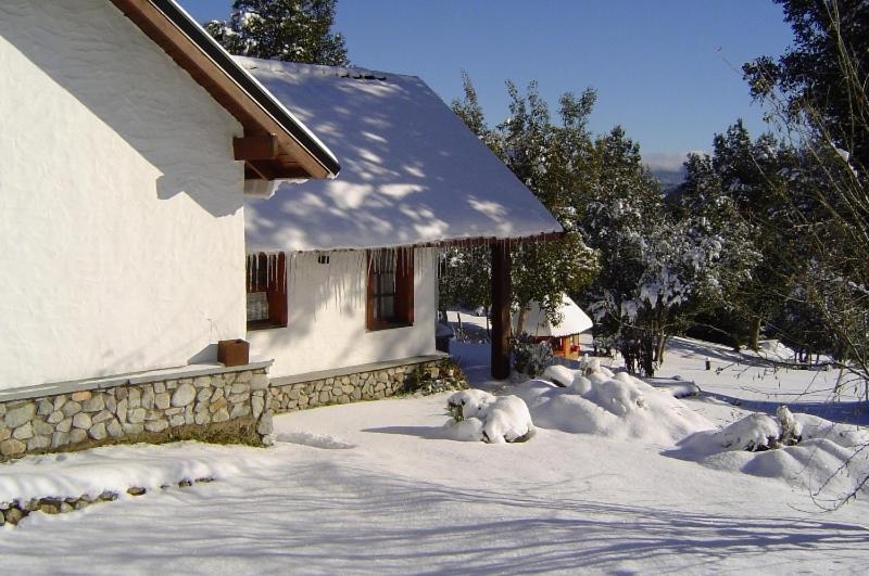 Cabanas & Aparts Lancuyen, Villa De Montana Villa La Angostura Pokój zdjęcie
